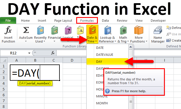 DAY Function in Excel
