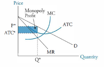 chapter 12 monopoly economics quizlet