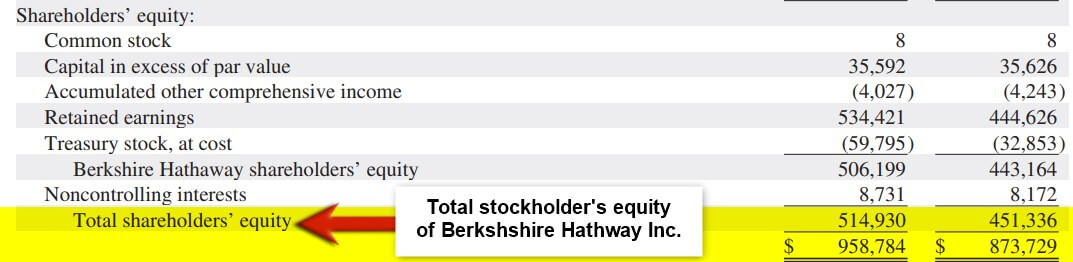 Berkshshire StockHolder Equity
