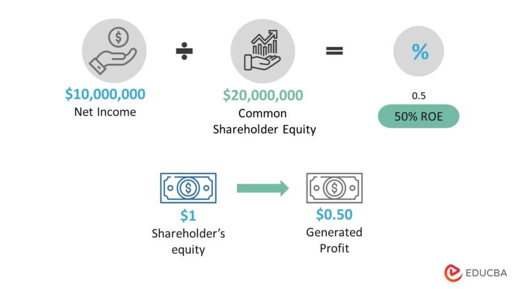 Return On Average Equity Formula 