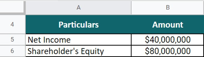 Return on Equity Formula Example 1 question