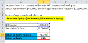 equity roe calculate