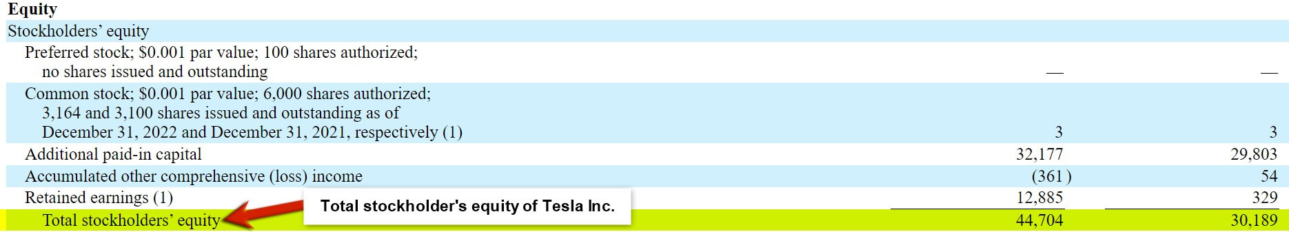 total stockholder's equity Tesla