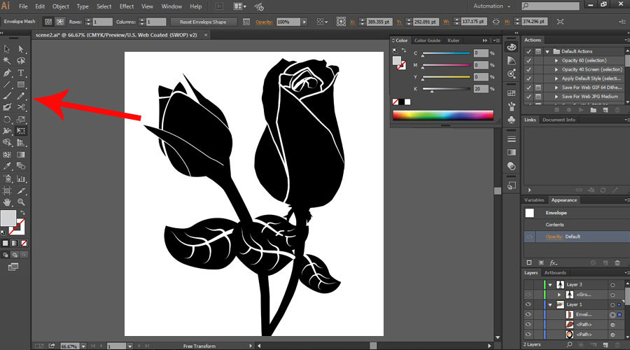 adobe illustrator basic