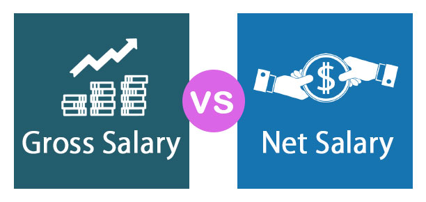 Gross Salary Vs Net Salary Top 6 Differences With Infographics - 