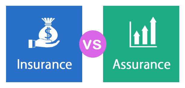 Insurance vs Assurance | Best 6 Differences To Learn (With ...