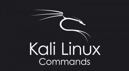 kali linux commands