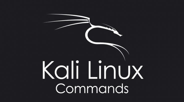 Kali Linux Commands | Basic To Advanced Commands With Examples