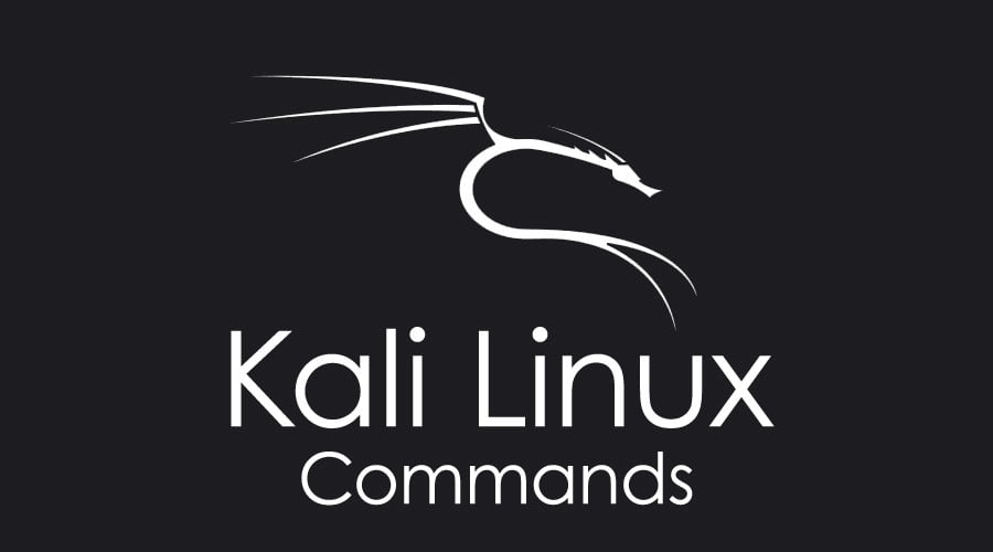 kali linux commands