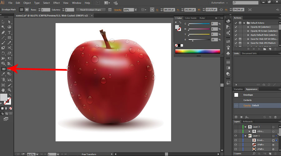 adobe illustrator tools