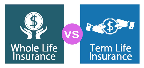 whole life vs term life insurance