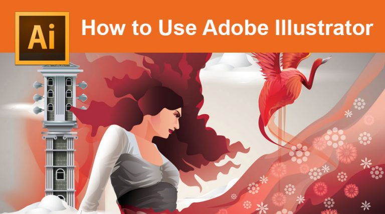 what is the best way to use adobe illustrator
