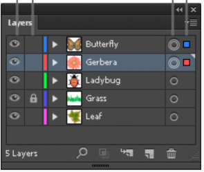 Adobe Illustrator Tool - layers panel