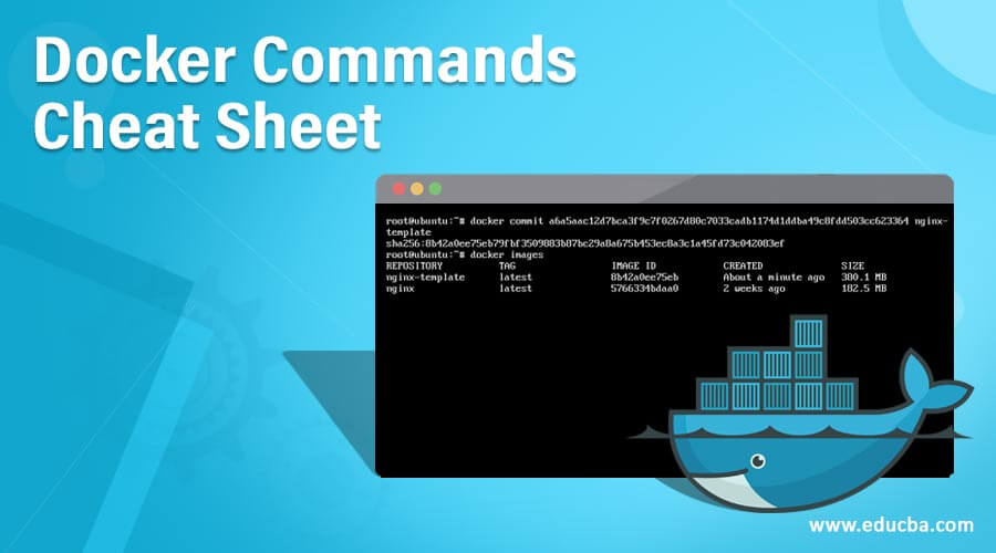 docker-commands-cheat-sheet-best-interactive-cheat-sheet-on-docker