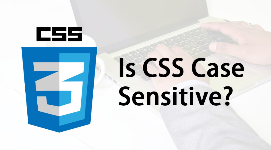 Is CSS Case Sensitive | Know The Features And Benefits Of CSS