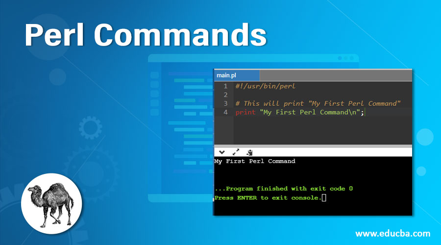 Perl Commands