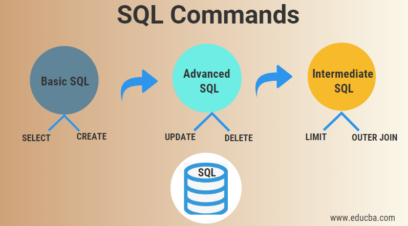 sql-commands-concepts-basic-and-advanced-commands-hot-sex-picture