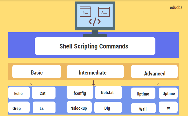 Shell Script Commands W3schools