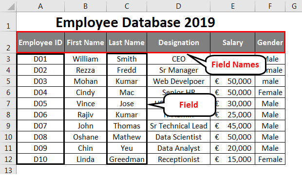 Create Database in Excel | How to Create Database in Excel?