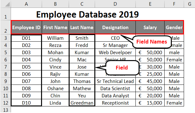 employee database in excel template