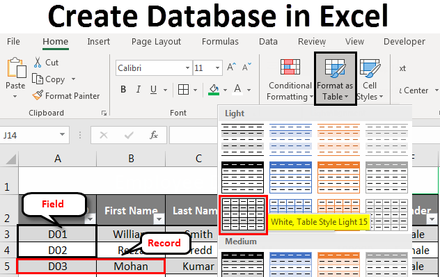 Create Database in Excel How to Create Database in Excel?