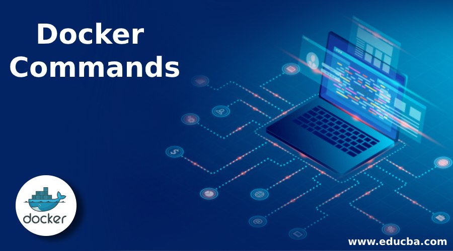 Docker Commands Basic To Advanced Docker Commands