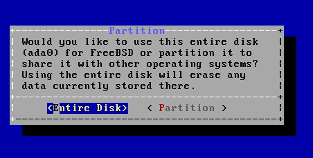 Install FreeBSD 8