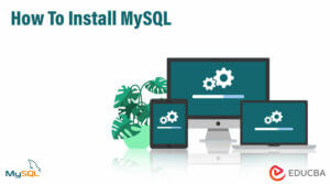 Install MySQL | How to Installa MySQL server on Windows PC?