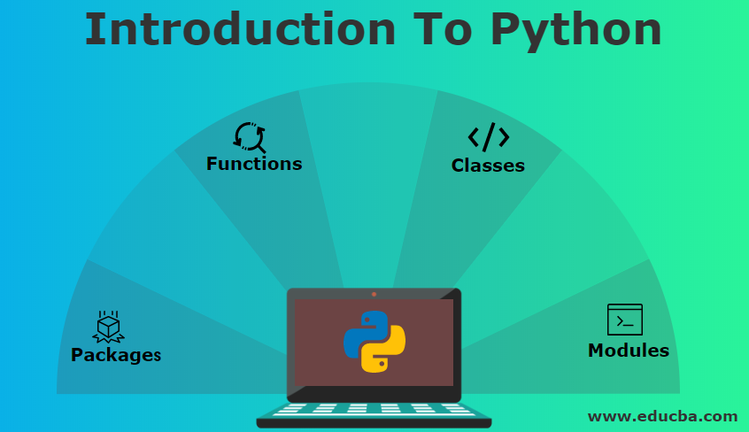 Introduction To Python Master Your Skillset By Learning Python 7817