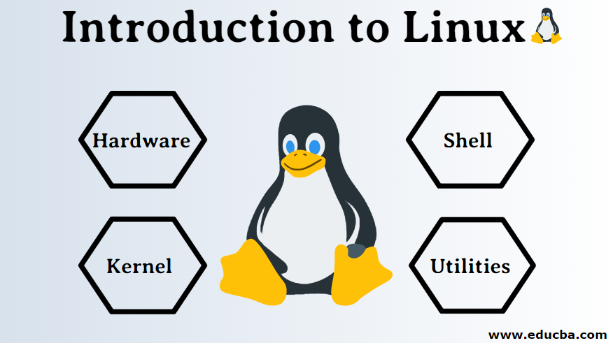 Introduction To Linux | Components & Characteristics Of Linux