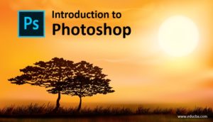 Introduction to Photoshop | Characteristics, Applications