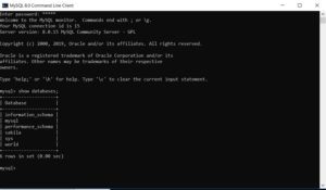 Install MySQL | How to Installa MySQL server on Windows PC?