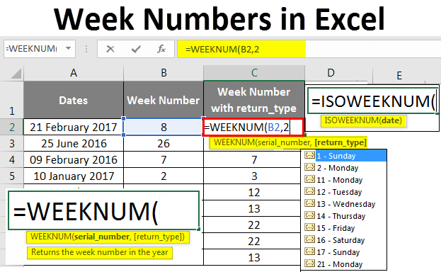 Week Numbers In Excel WEEKNUM And ISOWEEKNUM Function