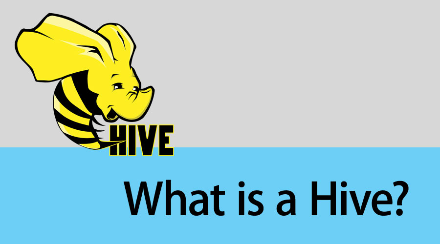 What is a Hive? LaptrinhX