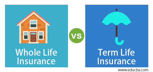 prometedor en progreso Absolutamente Whole Life Insurance vs Term Life Insurance | Top 4 Amazing Differences