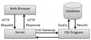 What is Common Gateway Interface? | How It Works | Skill & Career Move