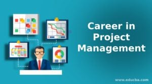 education project management jobs