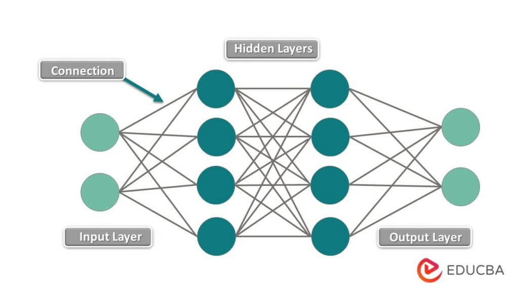 Neural Networks