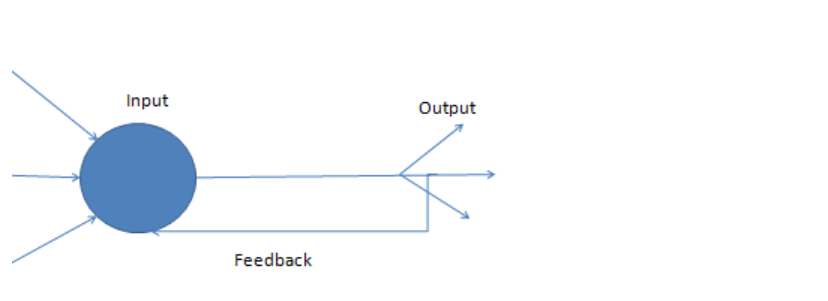 Single node with its network