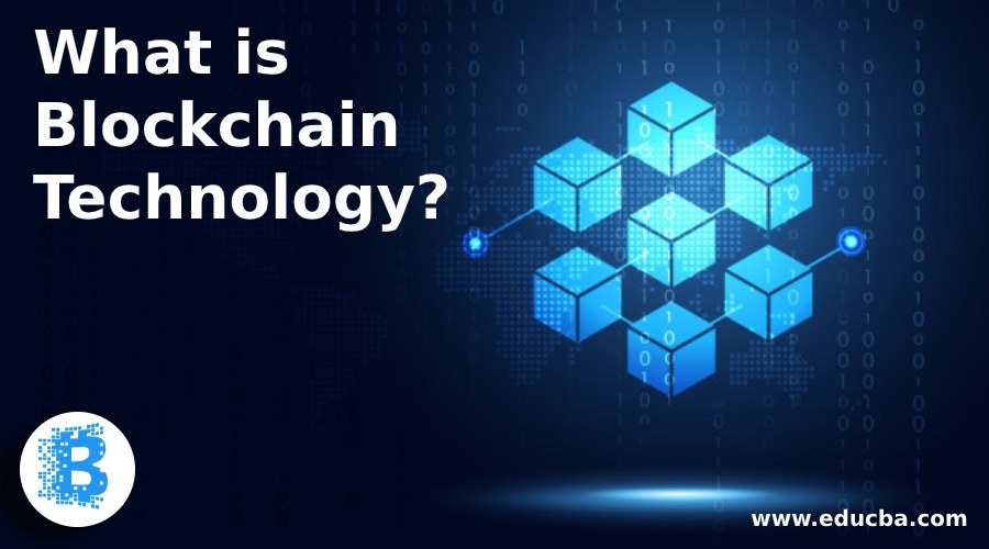 what is blockchain software