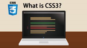 What is CSS3? | Uses & Need | Features and Advantages of CSS3
