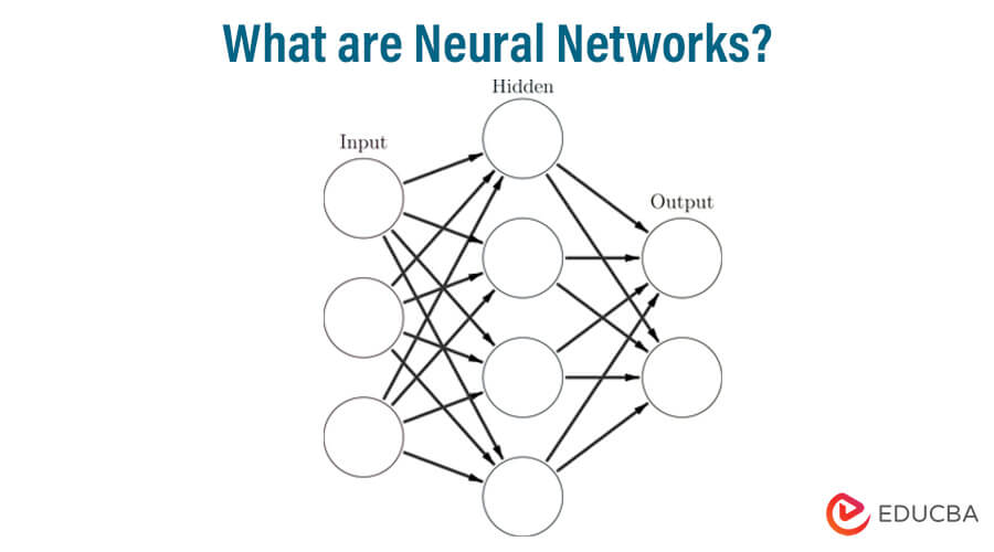 Neural networking store