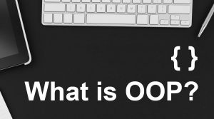 What is OOP? | Principles With Examples | Advantages & Disadvantages
