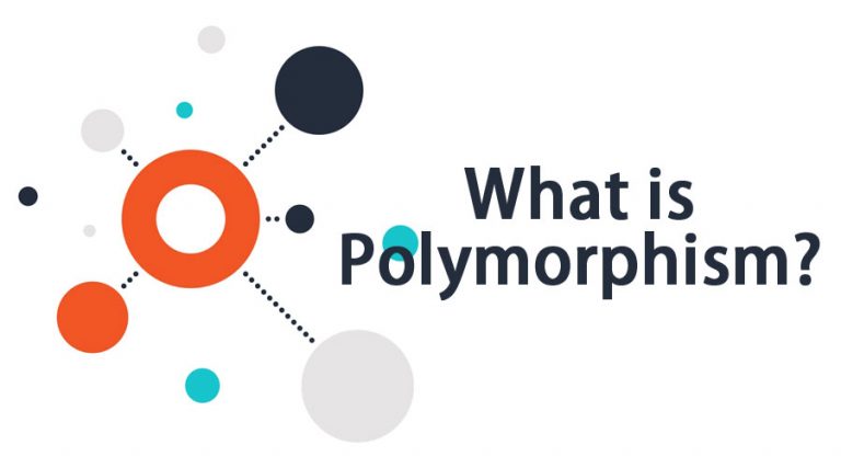 What is Polymorphism? | Working | Uses and Advanatges of Polymorphism