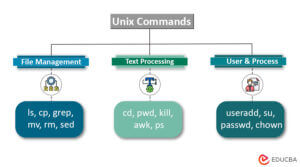 Mastering Unix Commands: A Comprehensive Guide