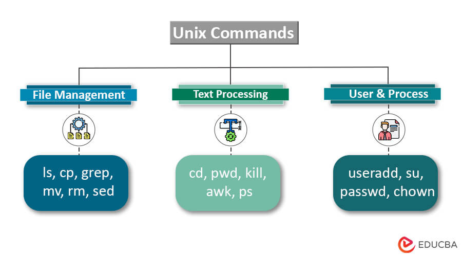 All UNIX COMMANDS, PDF, Computer File