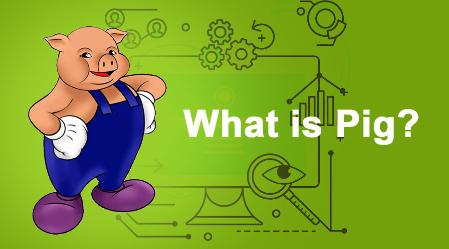 Detailed understanding. Pig Hadoop. Apache Pig. What kind os Sound Pig use.