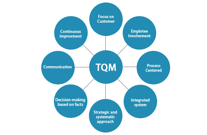 8 Total Quality Management Principles