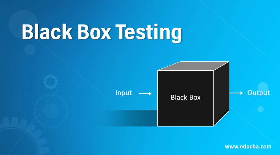 Black box testing