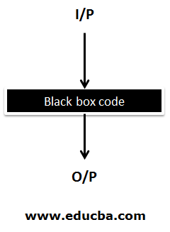 Black–Box Testing